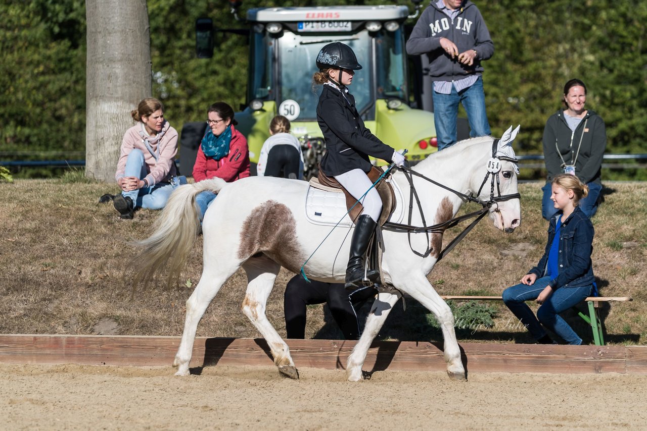 Bild 92 - Pony Akademie Turnier